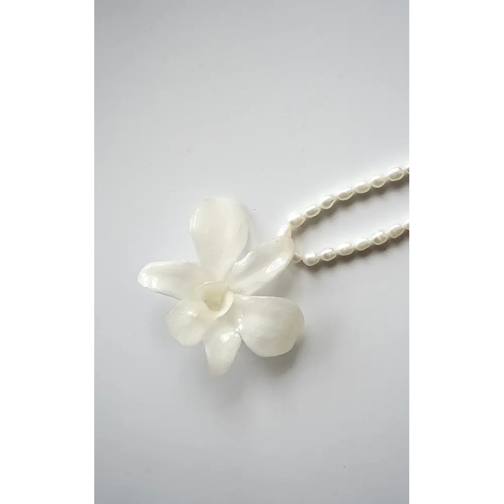 Orquídea Blanca y Perlas de Río