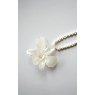 Orquídea Blanca y Perlas de Río