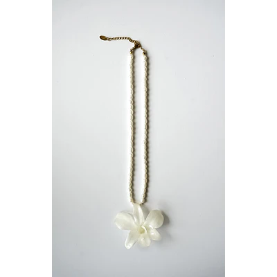 Orquídea Blanca y Perlas de Río