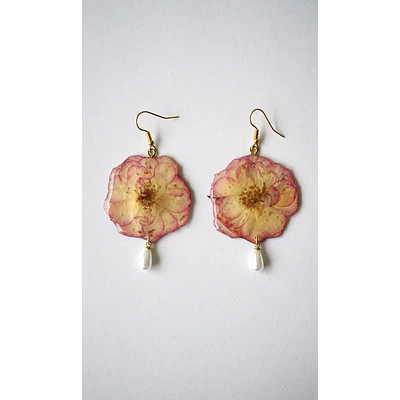 Aros Rosa Alba