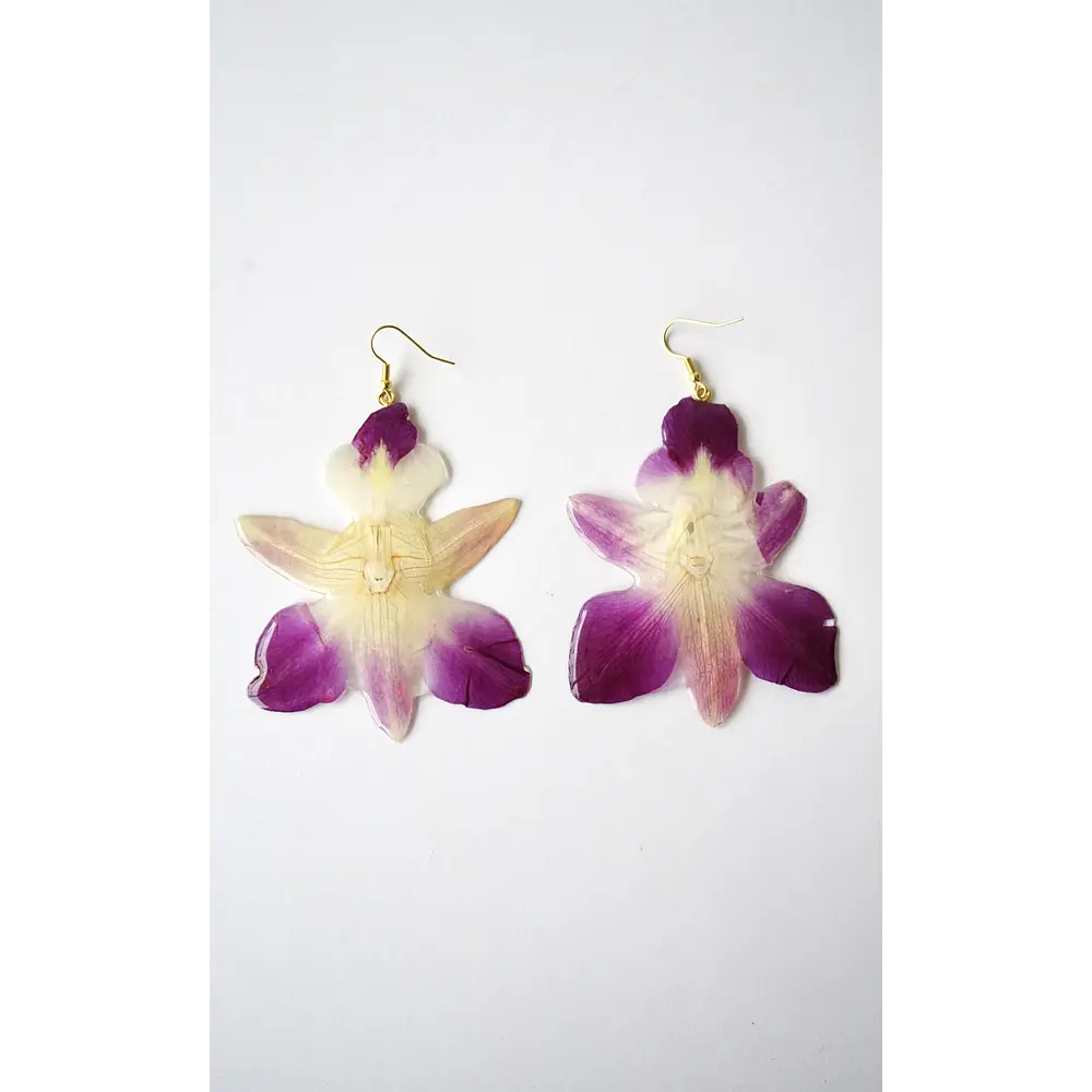 Aros Orquídea Bicolor
