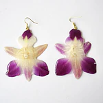 Aros Orquídea Bicolor