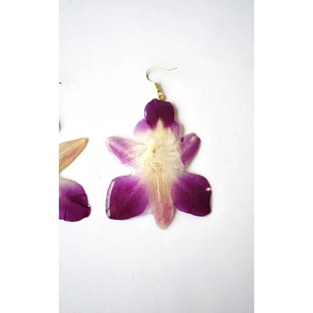 Aros Orquídea Bicolor