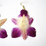 Aros Orquídea Bicolor