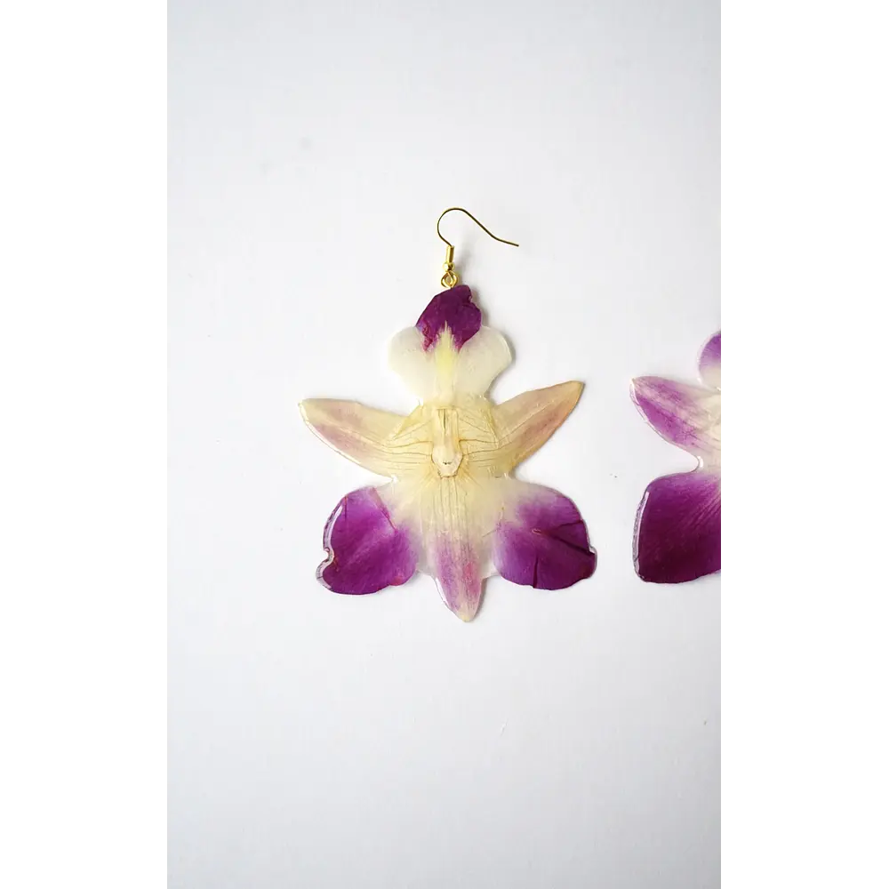 Aros Orquídea Bicolor