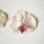 Aros Orquídea lila