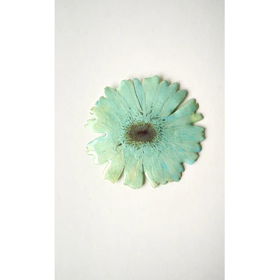 Pinche Gerbera Celeste en Resina