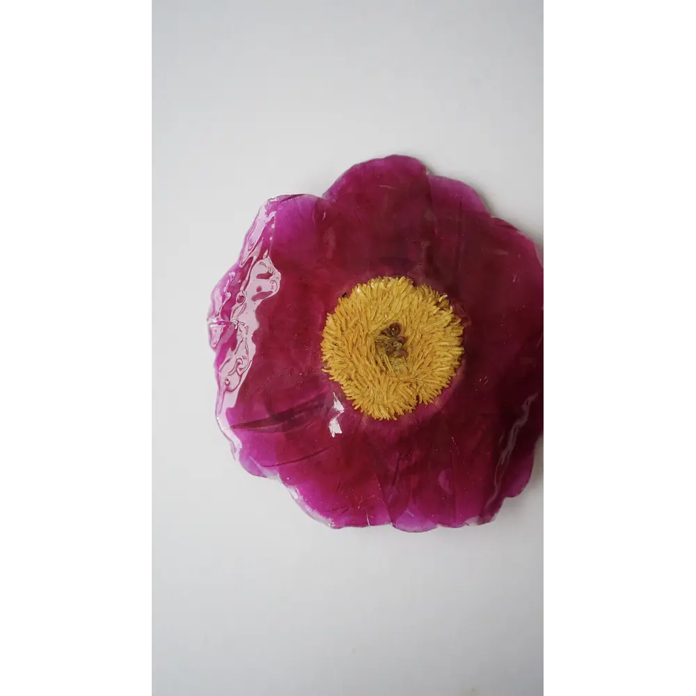 Pinche de Peonía Natural Fucsia en Resina