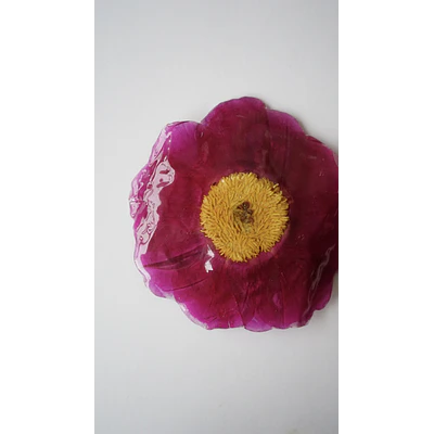 Pinche de Peonía Natural Fucsia en Resina