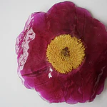 Pinche de Peonía Natural Fucsia en Resina