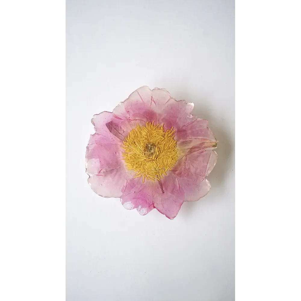 Pinche de Peonía Rosa en Resina