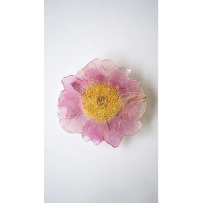 Pinche de Peonía Rosa en Resina