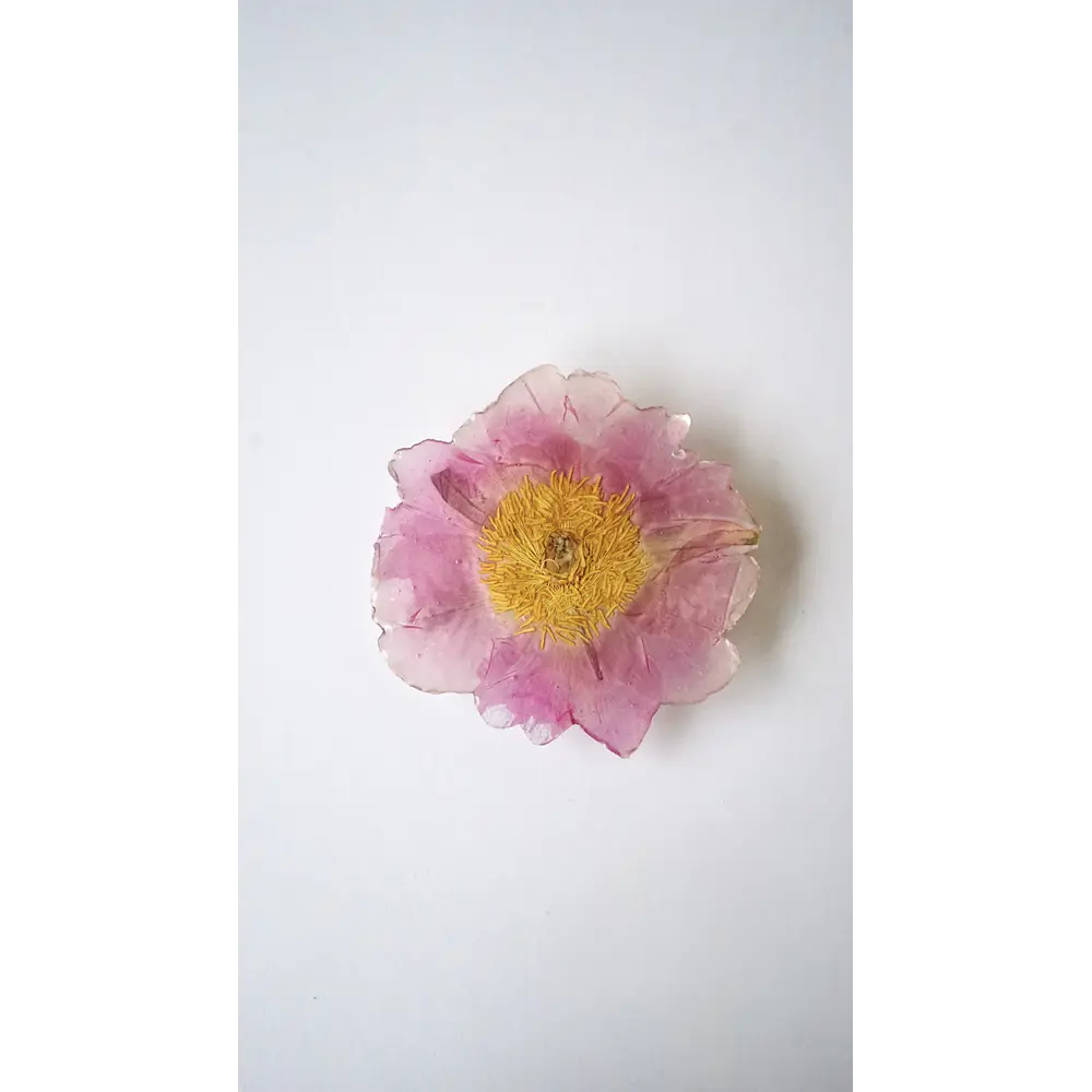 Pinche de Peonía Rosa en Resina