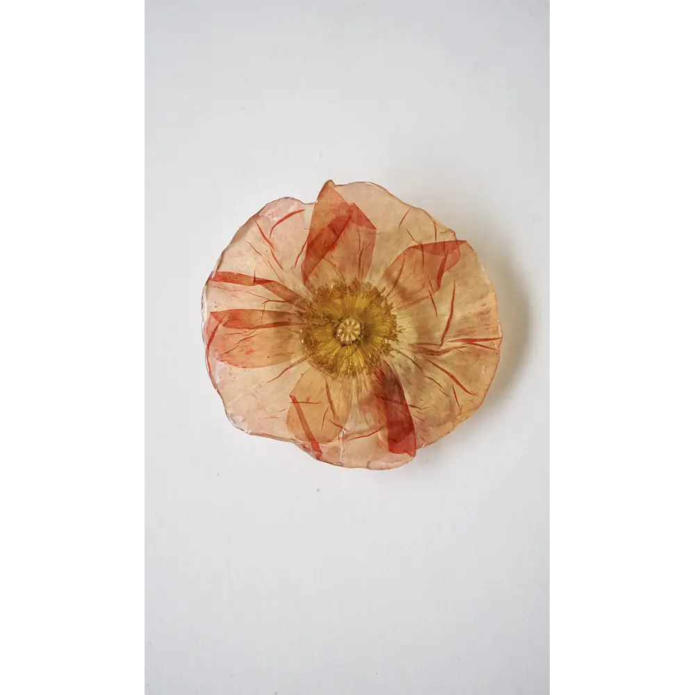 Pinche de Amapola en Tonos Coral 