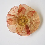 Pinche de Amapola en Tonos Coral 
