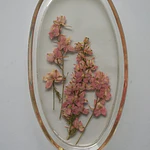 Joyero Ovalado de Resina con Flores Delphinium Naturales