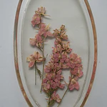 Joyero Ovalado de Resina con Flores Delphinium Naturales
