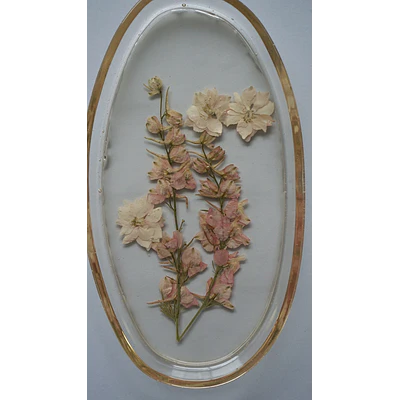 Joyero Ovalado de Resina con Flores Delphinium Rosado Claro