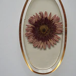 Joyero Ovalado de Resina con Gerbera Natural Preservada