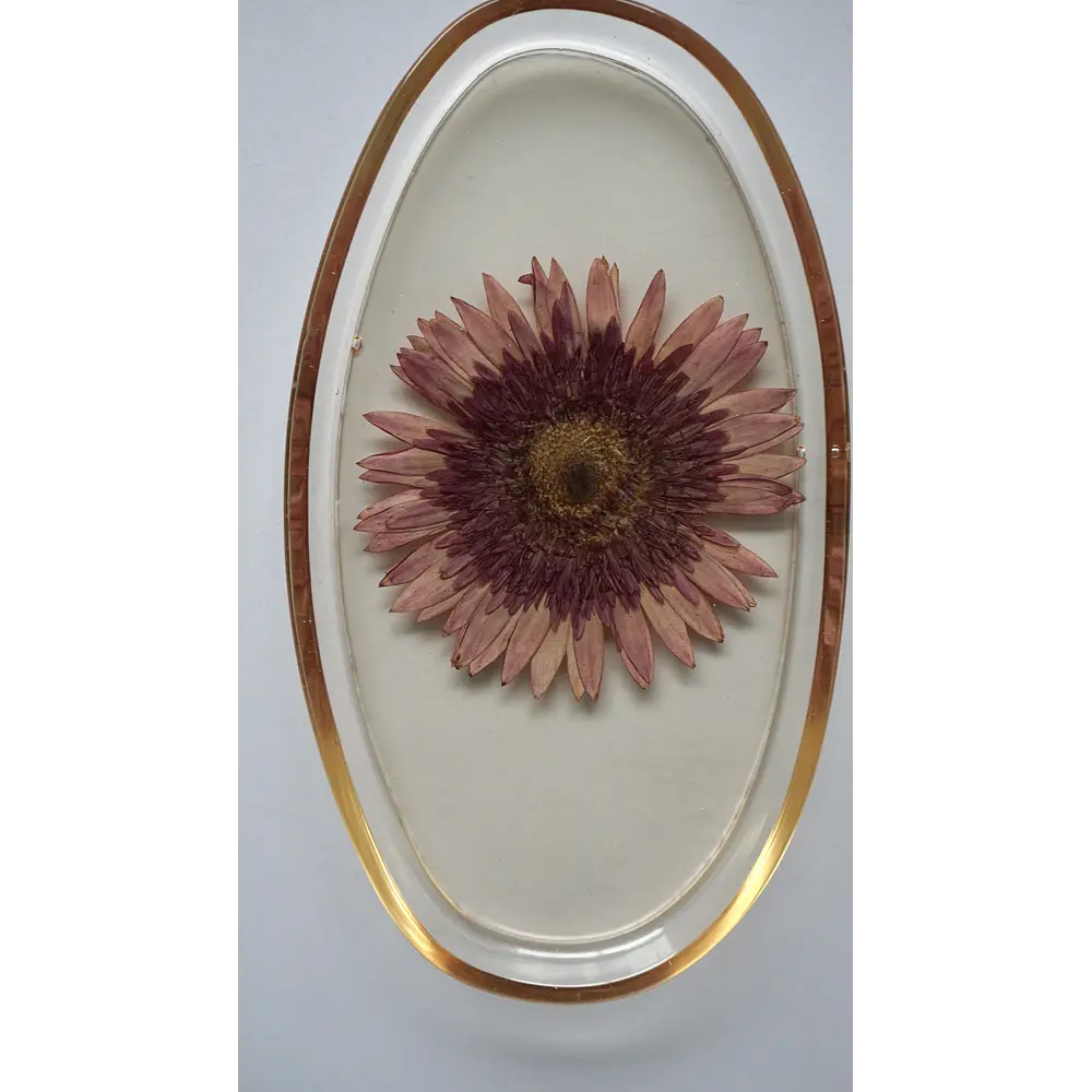 Joyero Ovalado de Resina con Gerbera Natural Preservada