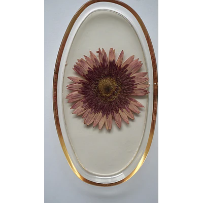 Joyero Ovalado de Resina con Gerbera Natural Preservada