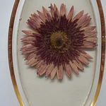Joyero Ovalado de Resina con Gerbera Natural Preservada