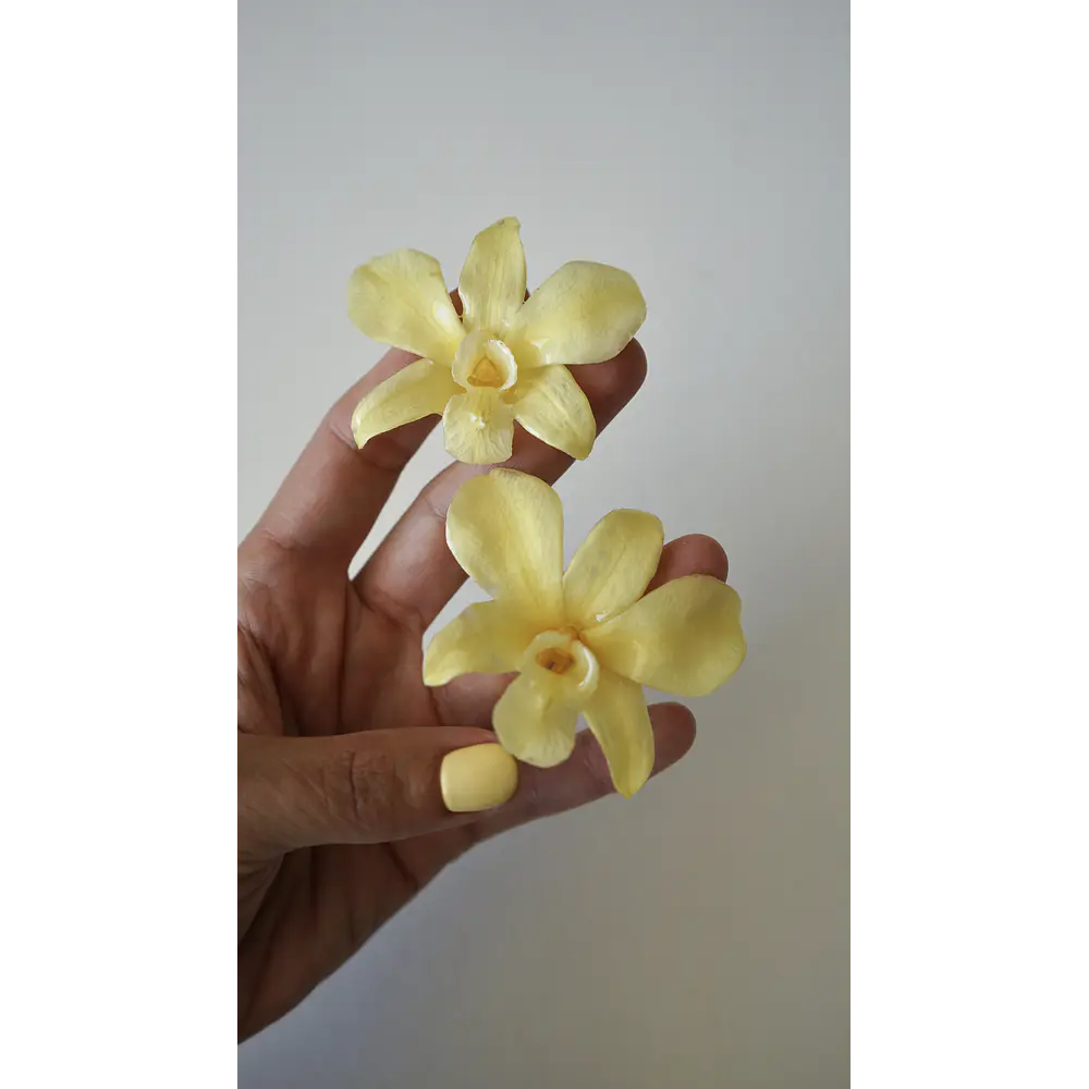 Aros de Orquídea Amarilla Natural en Resina | Joyería Botánica Artesanal