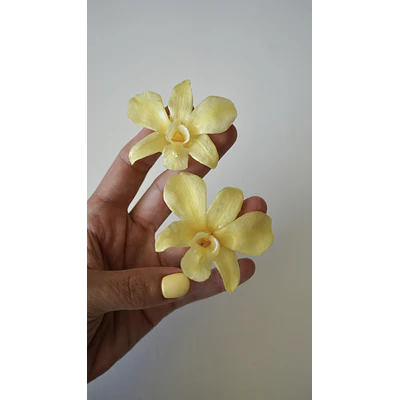 Aros de Orquídea Amarilla Natural en Resina | Joyería Botánica Artesanal