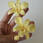Aros de Orquídea Amarilla Natural en Resina | Joyería Botánica Artesanal