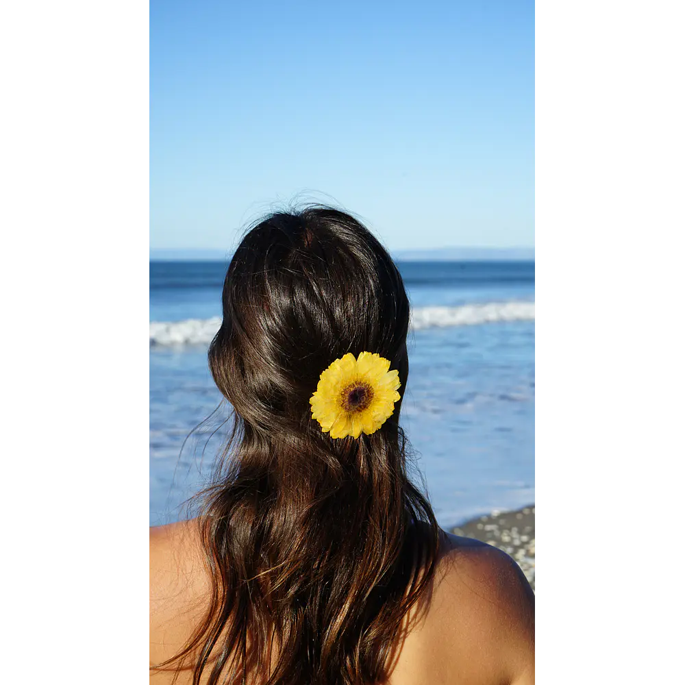 Pinche Gerbera Amarillo en Resina