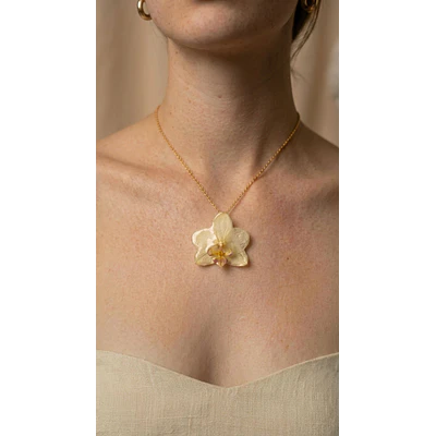Orquídea Marfil Natural- Encapsulada en Resina