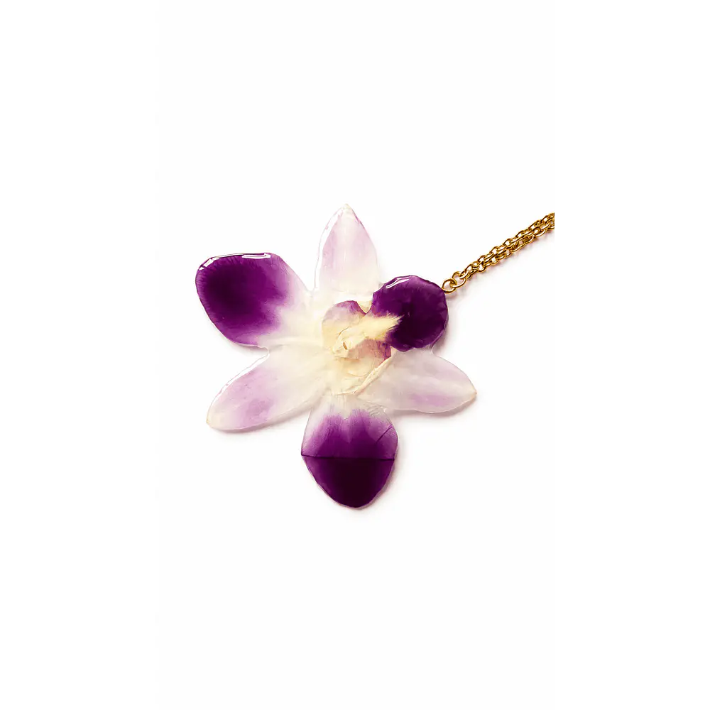 Orquídea Bicolor - Collar de Orquídea Natural en Resina