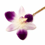 Orquídea Bicolor - Collar de Orquídea Natural en Resina