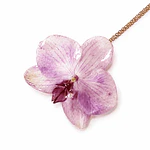  Collar Orquídea Natural  Aura - Encapsulada en Resina