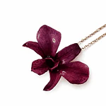 Orquídea Morada - Collar de Resina con Orquídea Natural