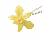 Collar Orquídea Amarilla y Perlas de Río Naturales - Encapsulada en Resina