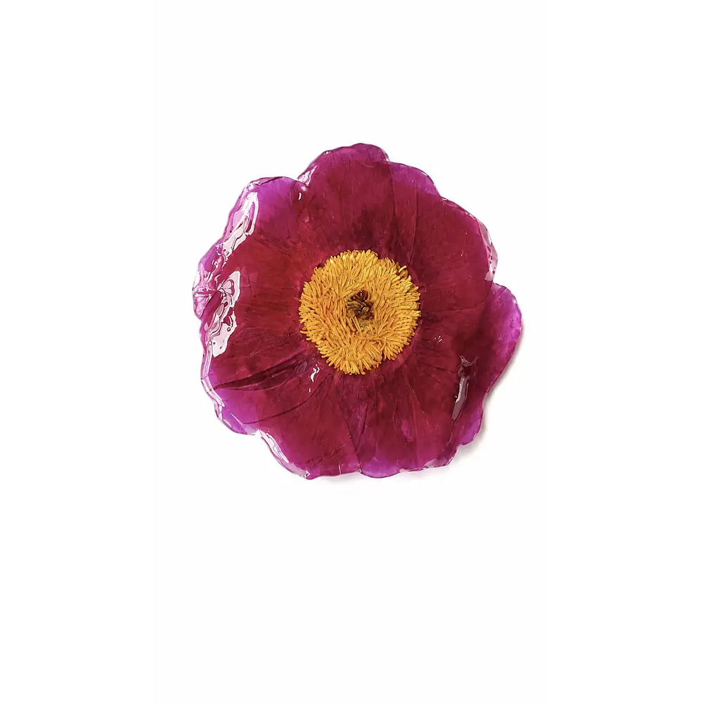 Pinche de Peonía Natural Fucsia en Resina