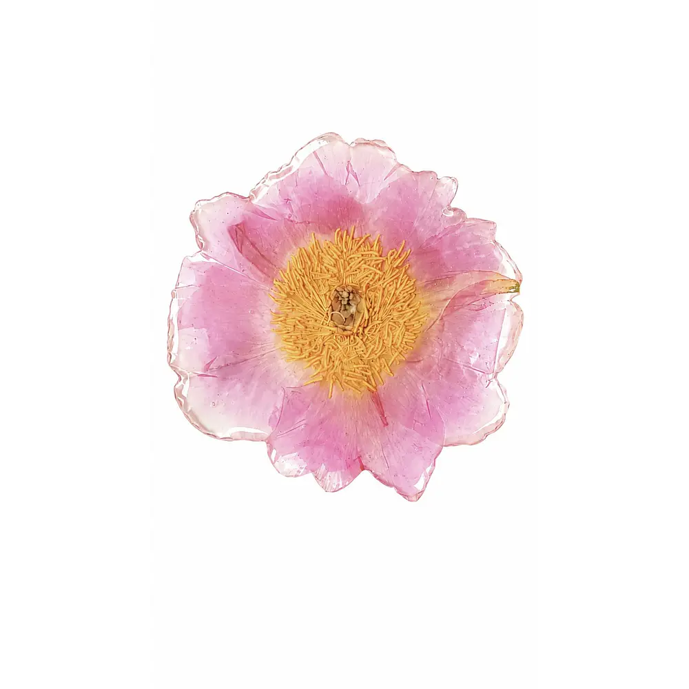 Pinche de Peonía Rosa en Resina