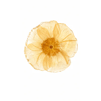 Pinche de Amapola Beige en Resina
