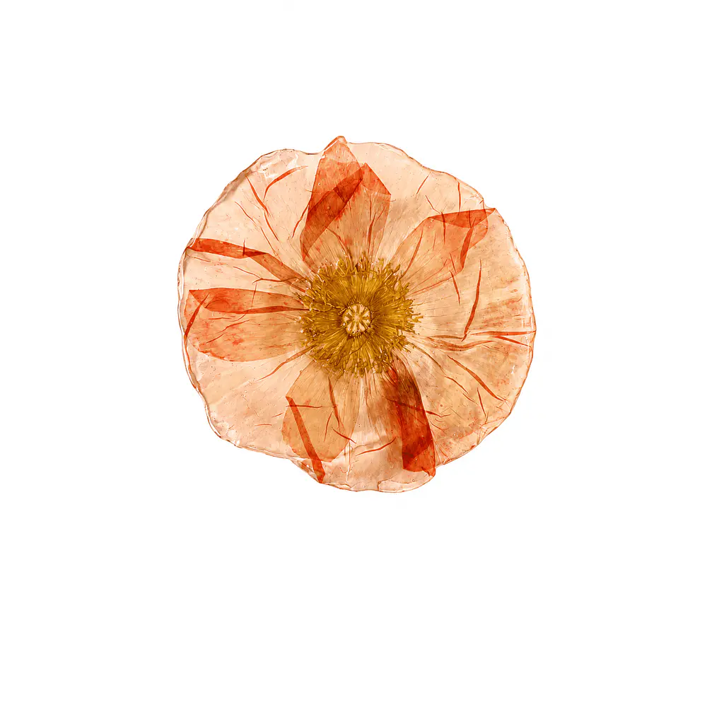 Pinche de Amapola en Tonos Coral 