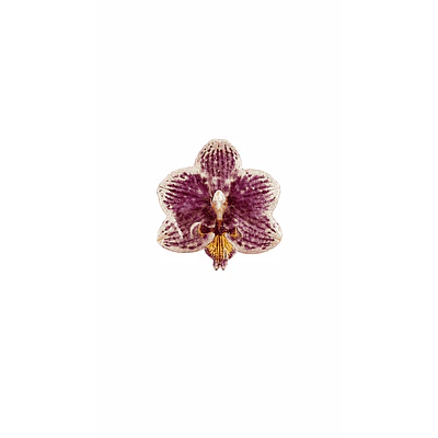 Anillo de Orquídea Jaspeada Natural Preservada | Cande Art