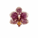 Anillo de Orquídea Jaspeada Natural Preservada | Cande Art