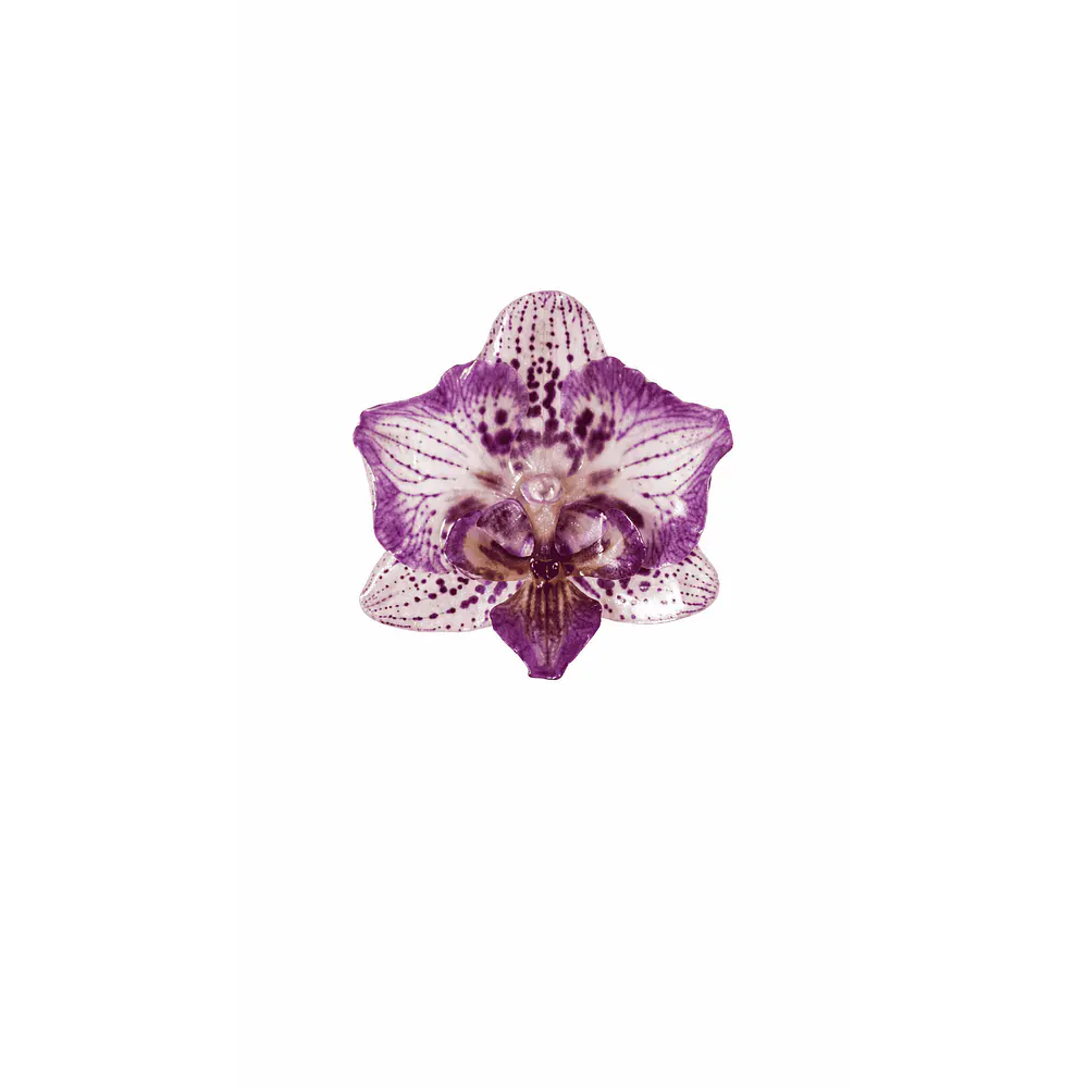 Anillo de Orquídea Violeta Natural Preservada | Cande Art
