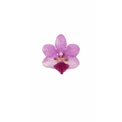 Anillo de Orquídea Rosada Natural Preservada | Cande Art