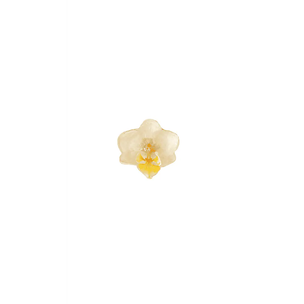 Anillo de Orquídea Blanca Natural Preservada