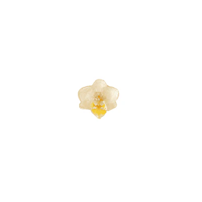 Anillo de Orquídea Blanca Natural Preservada