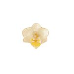 Anillo de Orquídea Blanca Natural Preservada