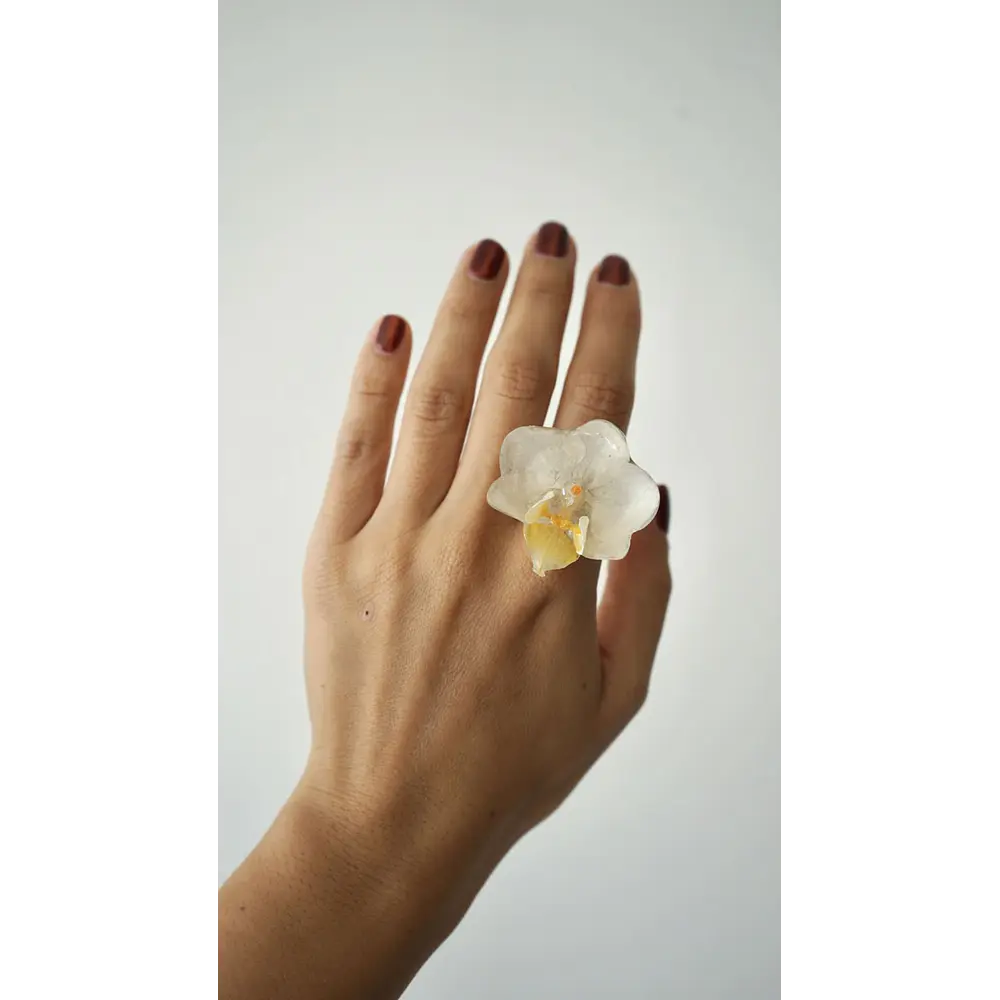 Anillo de Orquídea Blanca Natural Preservada