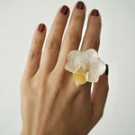 Anillo de Orquídea Blanca Natural Preservada