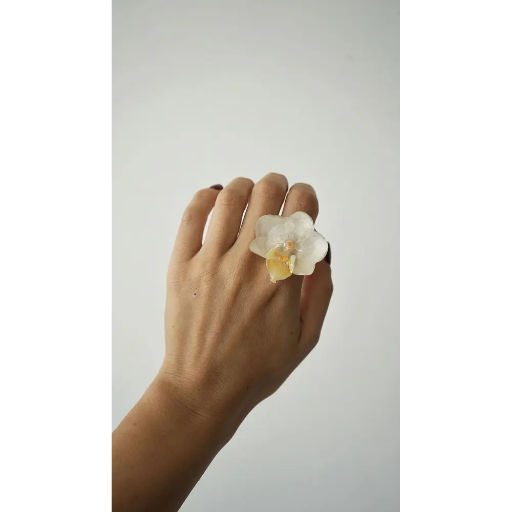 Anillo de Orquídea Blanca Natural Preservada